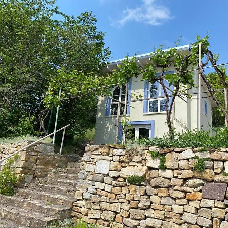 Weinbergshaus Mit Blick Auf'S Wasser Salzatal Kültér fotó